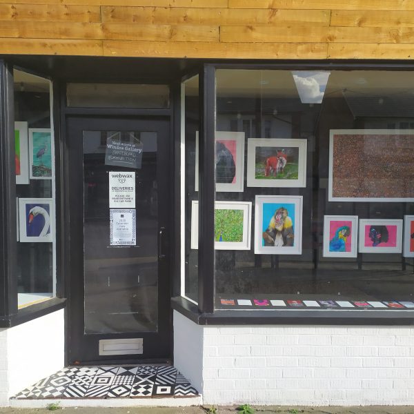 Full view of Matthew Brazier Exhibition at the Window Gallery